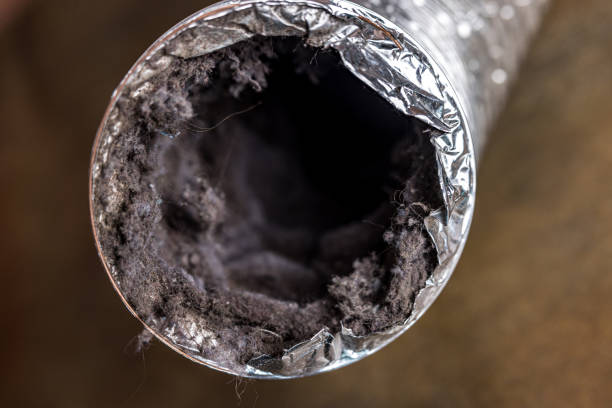 Best Dryer Vent Cleaning Services  in The Village Of Indian Hill, OH